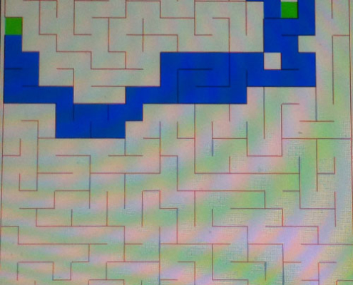 The program randomly created a maze, as a second step the program searched the maze for the correct path (in blue)