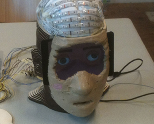 Brain construction