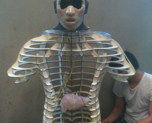 Connecting organs to main body